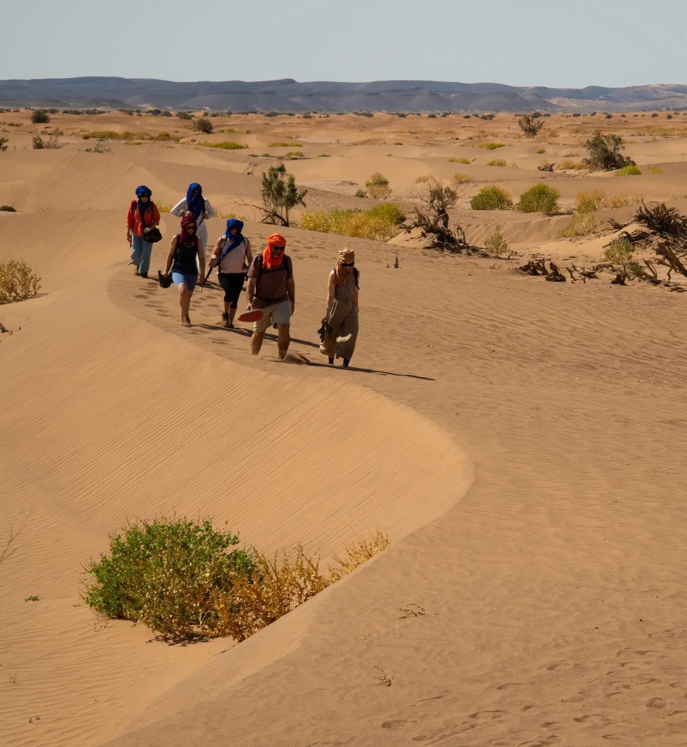 Trek dans le désert marocain dhōtelia : retraite de yoga et trek dans le désert marocain